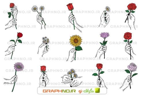 15 تصویر دوربری شده گل و دست 